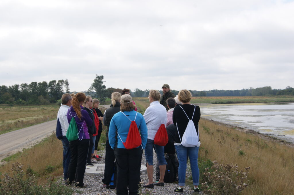 Guidede ture og naturvejleder ved Gyldensteen strand