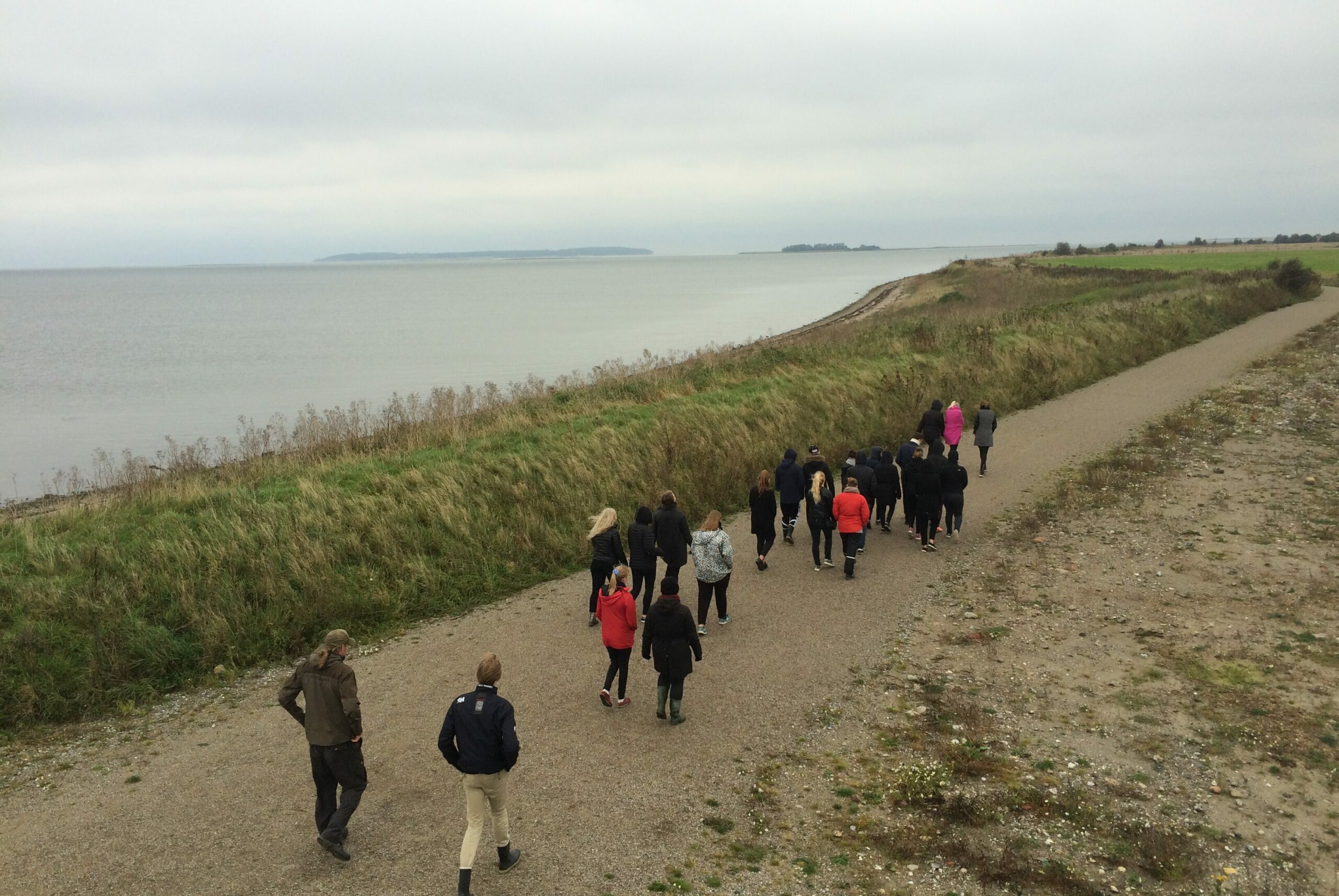 Naturvejledning og guidede ture ved Gyldensteen strand med værude.dk